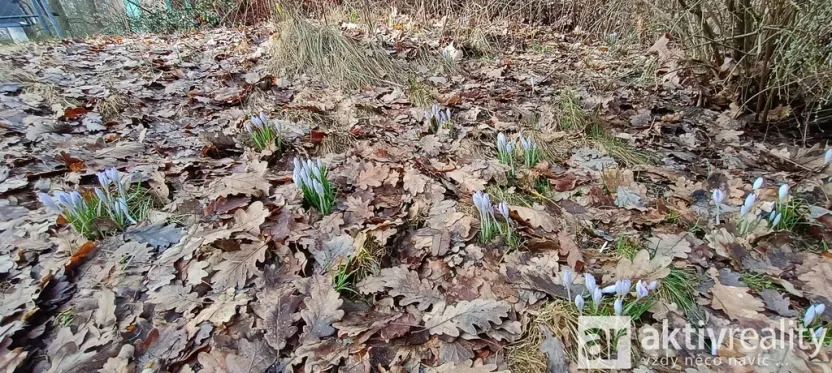 Pronájem chaty, Ledce, 44 m2