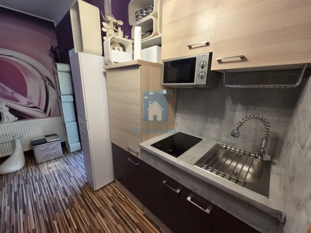 Pronájem bytu 1+kk, Plzeň, Koterovská, 35 m2