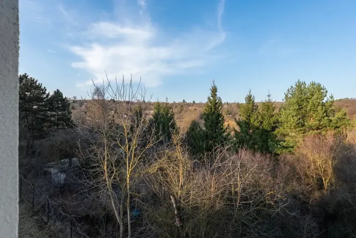 Prodej bytu 3+kk, Brno, Ondřeje Sekory, 98 m2