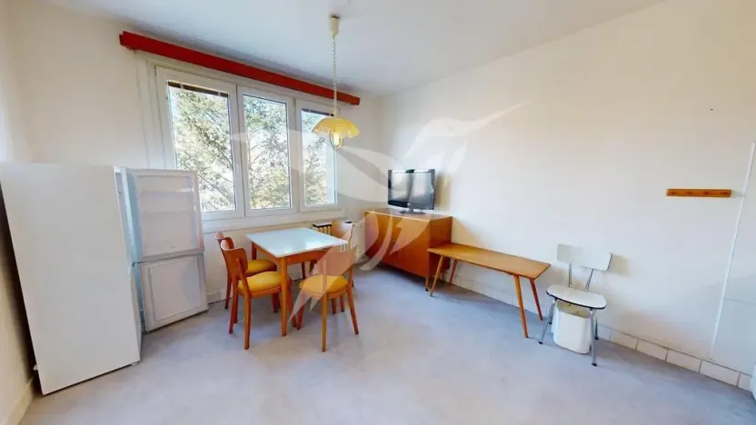 Pronájem bytu 1+1, Plzeň, Skupova, 38 m2