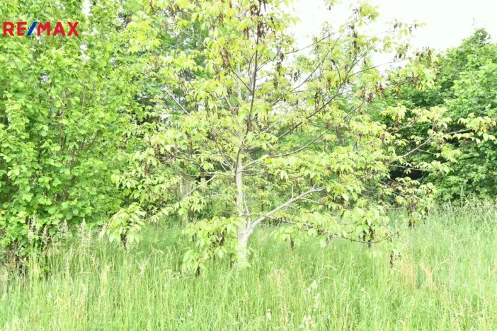 Prodej pozemku pro bydlení, Nový Bydžov - Vysočany, 4580 m2