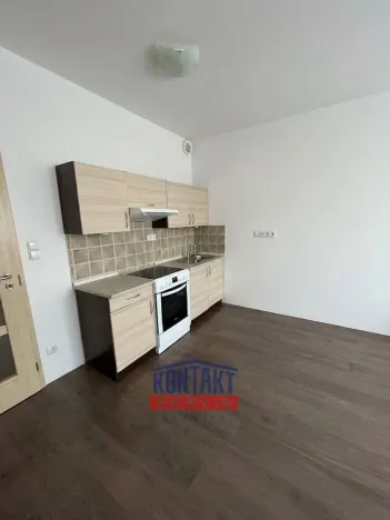 Pronájem bytu 1+kk, České Budějovice, Nová, 53 m2
