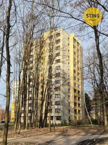 Pronájem bytu 1+kk, Ostrava, Čujkovova, 28 m2