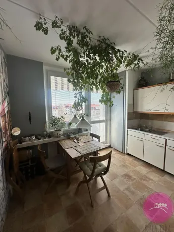 Prodej bytu 1+1, Olomouc, Politických vězňů, 40 m2