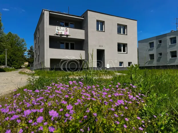 Prodej bytu 1+kk, Město Albrechtice - Hynčice, 22 m2