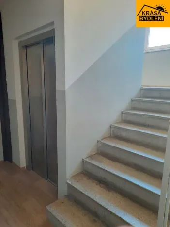 Pronájem bytu 2+1, Olomouc - Nové Sady, 45 m2