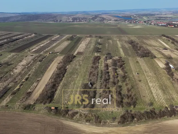 Prodej pozemku, Brumovice, 4065 m2