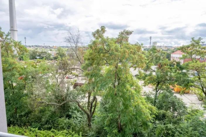 Pronájem bytu 1+kk, Praha - Michle, Krnkova, 33 m2