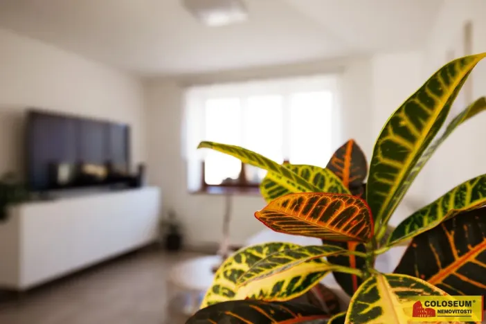 Prodej rodinného domu, Lovčičky, 239 m2