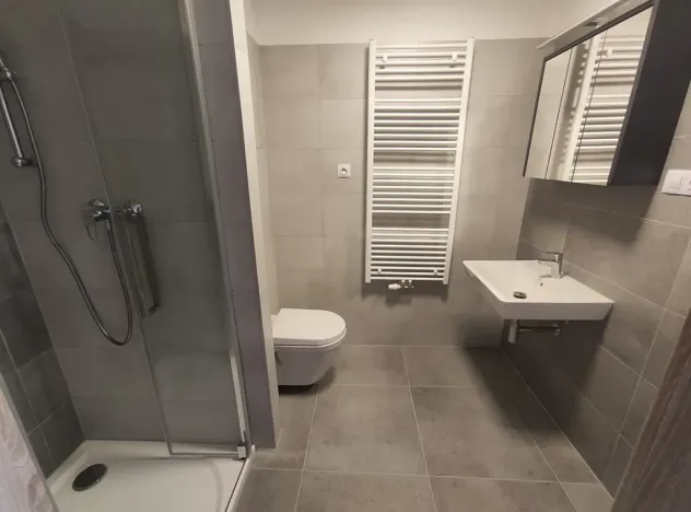 Pronájem bytu 1+kk, Brno, Střední, 33 m2