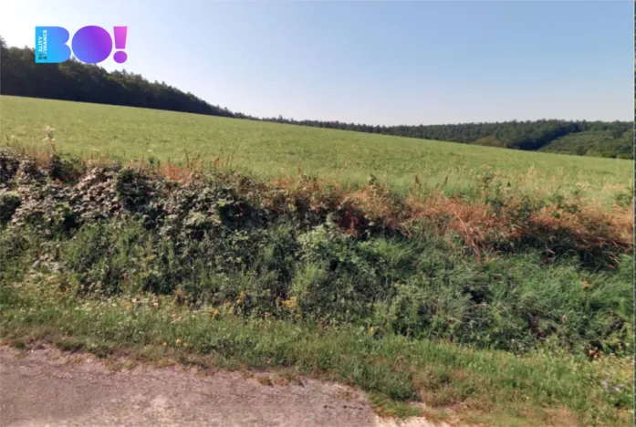 Prodej pole, Uherský Brod, 43866 m2