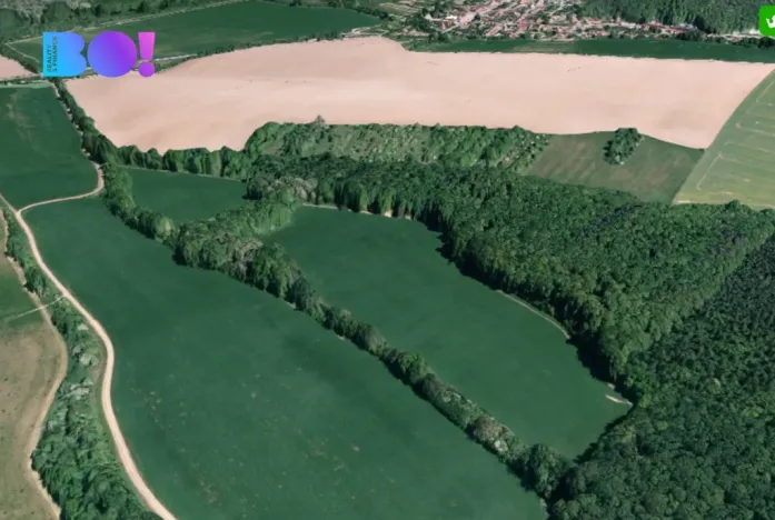 Prodej pole, Veletiny, 5908 m2