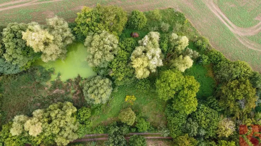 Prodej chalupy, Chabeřice - Holšice, 188 m2