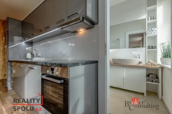 Pronájem bytu 2+kk, Praha - Nusle, U družstva Repo, 51 m2