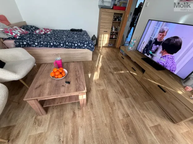 Prodej bytu 1+1, Most, K. H. Borovského, 27 m2