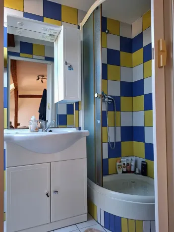 Prodej chalupy, Svojšín, 246 m2