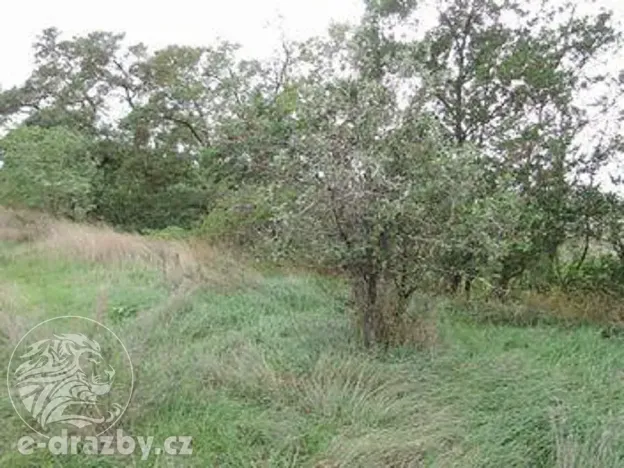 Dražba pozemku, Žatec, 264996 m2