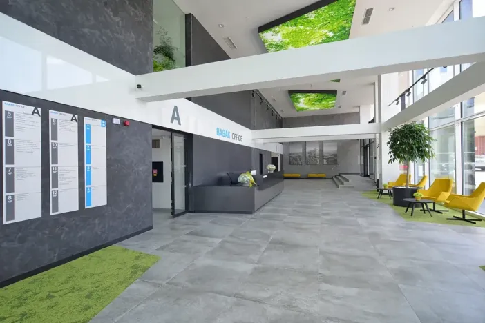 Pronájem kanceláře, Brno, Jana Babáka, 319 m2