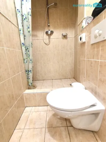 Pronájem bytu 2+1, Plzeň, Zbrojnická, 80 m2