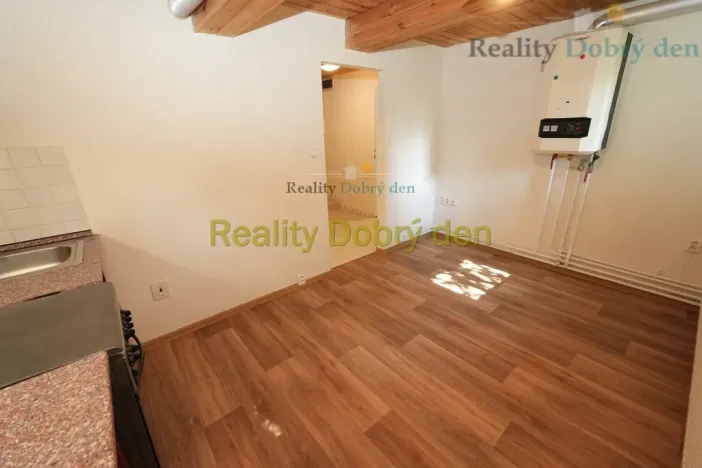 Pronájem bytu 1+1, Opava, Bochenkova, 55 m2