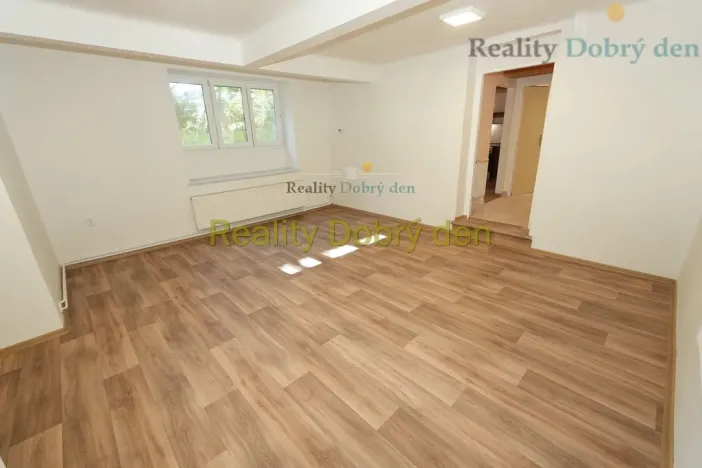 Pronájem bytu 1+1, Opava, Bochenkova, 55 m2