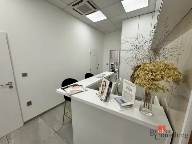 Pronájem komerční nemovitosti, Plzeň - Severní Předměstí, Otýlie Beníškové, 11 m2