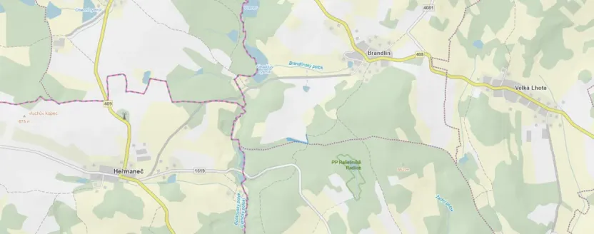 Prodej lesa, Volfířov - Brandlín, 3426 m2