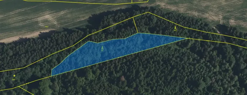 Prodej lesa, Volfířov - Brandlín, 3892 m2