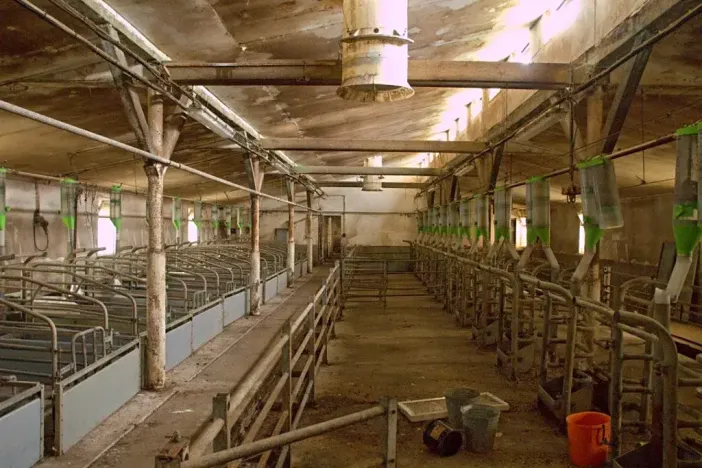 Prodej zemědělského objektu, Třešovice, 1059 m2