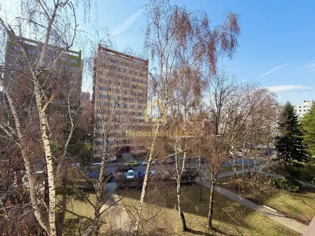 Pronájem bytu 3+1, Ostrava, Petra Křičky, 59 m2