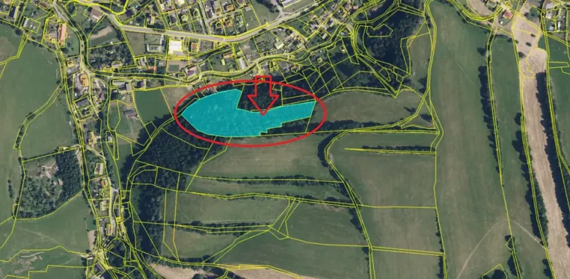 Prodej podílu lesa, Hrabišín, 4749 m2