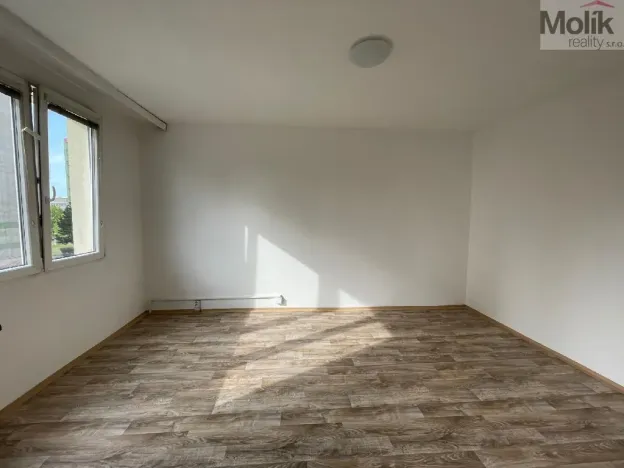 Pronájem bytu 1+1, Litvínov - Horní Litvínov, B. Němcové, 35 m2