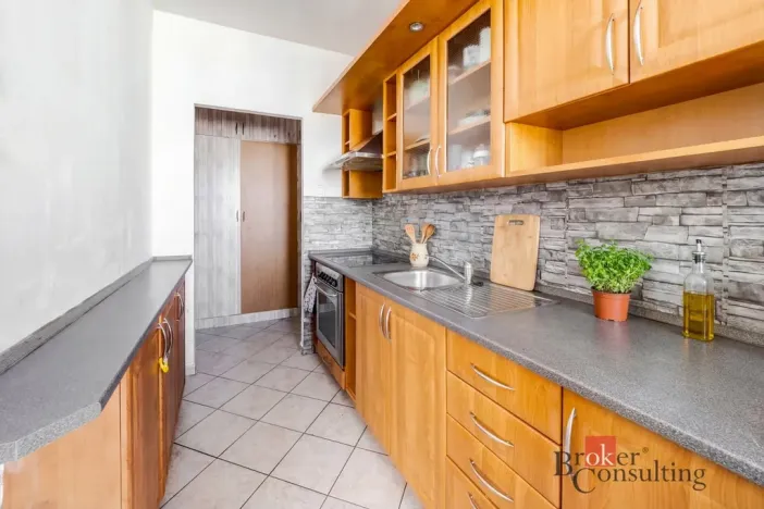 Prodej bytu 1+1, České Budějovice - České Budějovice 2, Vodňanská, 43 m2