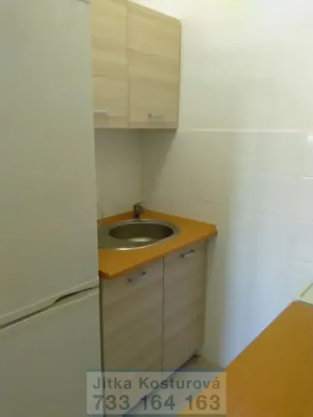 Pronájem bytu 1+kk, Krnov - Pod Cvilínem, Textilní, 35 m2