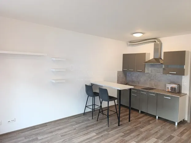 Pronájem bytu 1+kk, Praha - Vysočany, Strnadových, 34 m2