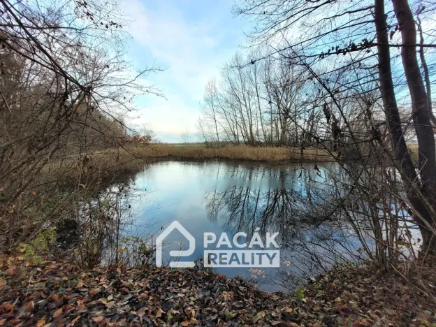 Prodej pole, Kožušany-Tážaly - Kožušany, 15995 m2