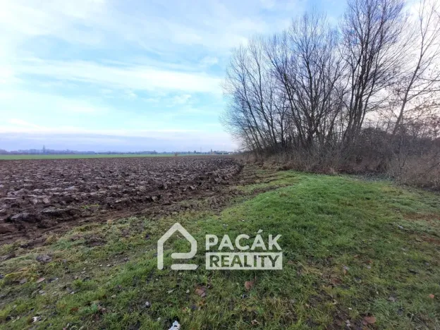 Prodej pole, Kožušany-Tážaly - Kožušany, 15995 m2