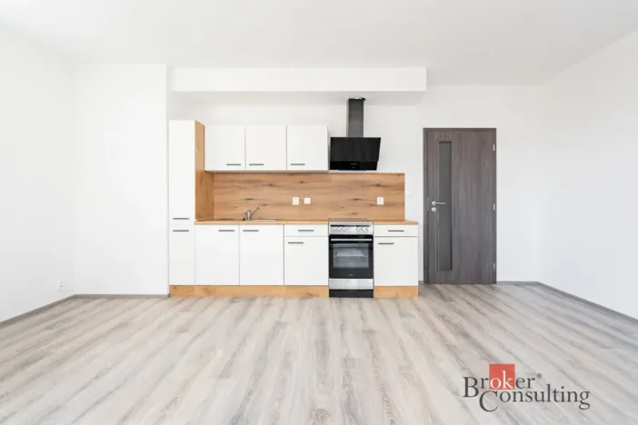 Pronájem bytu 1+kk, Heřmanova Huť - Vlkýš, U Pondu, 36 m2