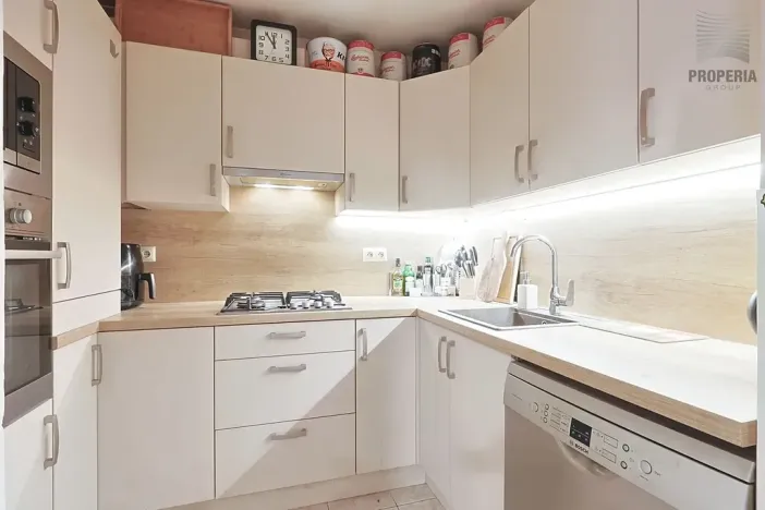 Prodej bytu 2+kk, Brno, Ruská, 60 m2