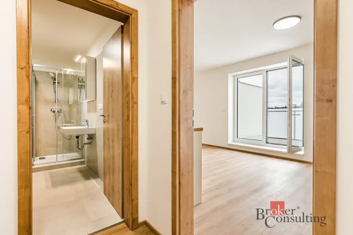 Pronájem bytu 1+kk, Brno - Kníničky, Hluboček, 32 m2