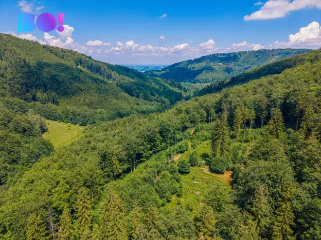 Prodej chaty, Komorní Lhotka, 70 m2