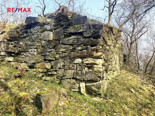 Prodej pole, Číčovice, 6121 m2