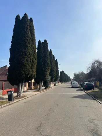 Prodej rodinného domu, Chlumec nad Cidlinou, Rooseveltova, 146 m2