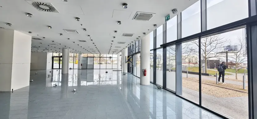 Pronájem obchodního prostoru, Praha, Siemensova, 146 m2