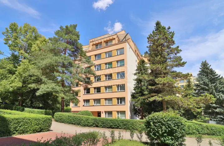 Pronájem bytu 1+kk, Praha, Šimůnkova, 33 m2