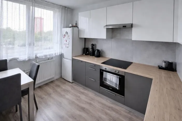 Pronájem bytu 3+1, Most, Růžová, 56 m2