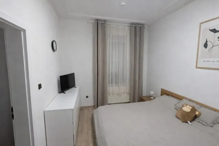 Pronájem bytu 2+1, Ústí nad Labem - Střekov, Železničářská, 56 m2