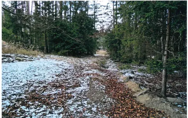 Prodej lesa, Červená Řečice, 158 m2