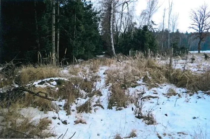 Prodej lesa, Červená Řečice, 326 m2