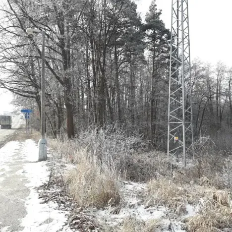 Prodej lesa, Řípec, 27546 m2